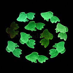 Светящиеся прозрачные акриловые подвески&nbsp;TACR-P010-04