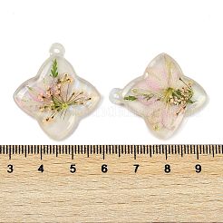 Эпоксидная смола подвески&nbsp;RESI-S09-01O-RS