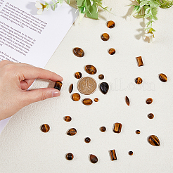 32 шт. 12 стиля натурального тигрового глаза кабошона G-FH0002-20