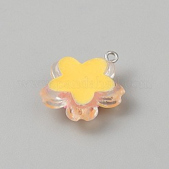 Прозрачные смоляные подвески&nbsp;RESI-TAC0002-84B