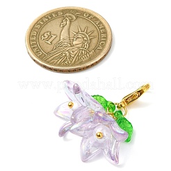 6 шт. 6-х цветные акриловые подвесные украшения-цветы&nbsp;HJEW-JM02719-01