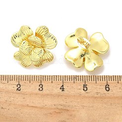 Латунь серьги&nbsp;EJEW-P303-05G