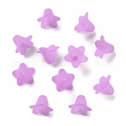 Прозрачные акриловые бусины PLF018-04