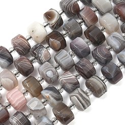 Природные Ботсвана агат бисер нитей&nbsp;G-G453-G10-7x12mm