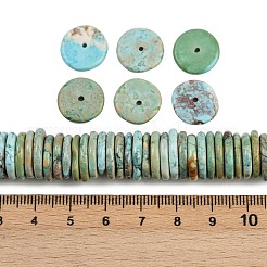 Нити натуральных бусин хаулита G-B148-A02