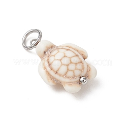 6шт 2 цвета окрашенные подвески из синтетической бирюзы&nbsp;PALLOY-JF05173-02