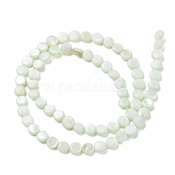 Hebras de cuentas de moneda de concha de agua dulce natural&nbsp;SH-CBACA76-17C