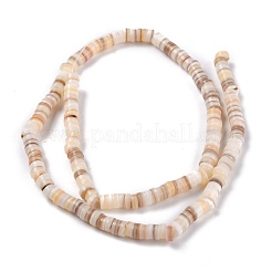 Shell perle naturali&nbsp;BSHE-B003-13A-01