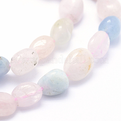 Naturperlen Stränge morganite&nbsp;X-G-K230-16
