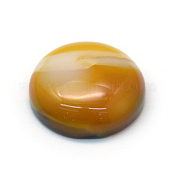 Окрашенные природные полосатые агатовые / полосатые агатовые кабошоны&nbsp;G-R348-20mm-04