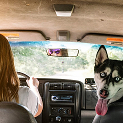 Подвеска в форме сердца из стекла и алюминия для бутылок&nbsp;HJEW-DR00156