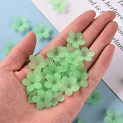 Coupelles en acrylique mat&nbsp;MACR-S371-08A-733