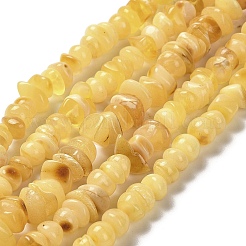 Янтарные шарики нити&nbsp;G-L095-J01-01