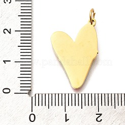 Эмалевые подвески из нержавеющей стали Pride 304 STAS-B079-01G-04