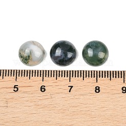 Природные моховой агат кабошонов&nbsp;G-D367-01A-01
