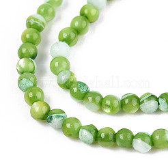 Нити бусин из окрашенных натуральных ракушек трохид/трохус&nbsp;SSHEL-T017-13C