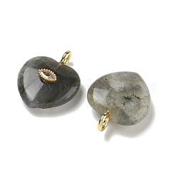 Ciondoli labradorite naturale&nbsp;G-P585-03G-21
