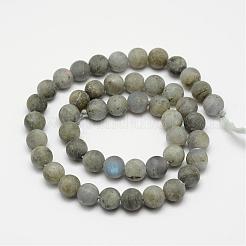 Labradorite naturale filoni satinato perline&nbsp;G-O155-04A-4mm