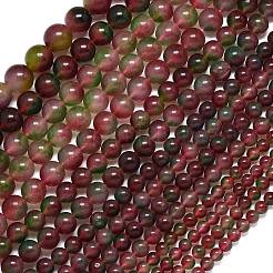 Натуральный Malaysia нефритовые бусы пряди&nbsp;G-B165-C03-14mm