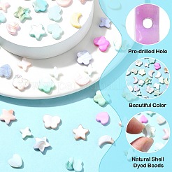 60 шт. 6 стиля макаронных бусин натурального цвета из ракушек BSHE-CJ0001-13