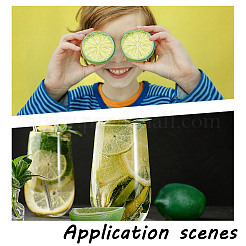 22 шт. 3 стиля пластиковая имитация лимона&nbsp;DJEW-AR0001-15A