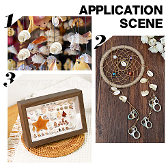 Натуральные спиральные бусы из ракушек SHEL-PH0001-42