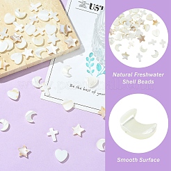 Ensemble de 40 pièce de 4 styles de perles en coquillage d'eau douce naturelle&nbsp;BSHE-YW0001-25