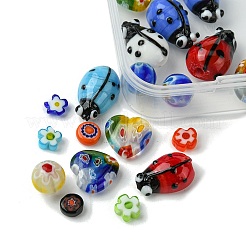 30шт 6 стиля ручной работы бусины лэмпворк LAMP-FS0001-12