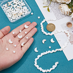 3 нитка 2 стиля натуральные пресноводные ракушки бусины нитки SHEL-HS0001-10