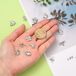 Подвески&nbsp;PALLOY-CJ0001-100