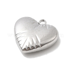 Подвески из нержавеющей стали 304 STAS-B113-04B-P