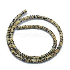 Природные яшмы далматин бисер нитей G-F631-A06