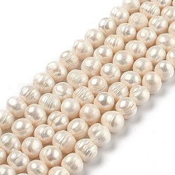Fili di perle di perle d'acqua dolce coltivate naturali, patata, bisque, 9~11mm, Foro: 0.7 mm, circa 36pcs/filo, 13.66 pollice (34.7 cm)
