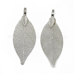 Iron Big Pendants, Electroplate Natural Leaf, Leaf, Platinum Plated, 52~53x19~20x1.5mm, Hole: 3x5.5mm