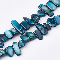 Chapelets de perles en coquille d'eau douce , teinte, pépites, bleu acier, 6~25x4~14x3~7mm, Trou: 1mm, Environ 96~100 pcs/chapelet, 31.4 pouce