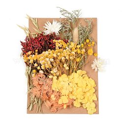 Dried Flower, for Bridal Shower, Wedding, Preserved Fresh Flower, Yellow, 210x148x14~24.5mm
