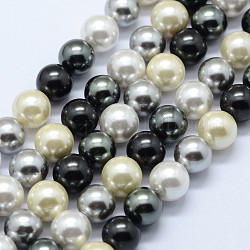 Fili di perline con guiscio, tondo, colore misto, 8mm, Foro: 1 mm, circa 50pcs/filo, 15.7 pollice