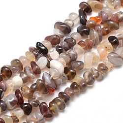 Botswana naturelle perles de puce agate brins, 4~14x4~12mm, Trou: 1mm, environ 15.3 pouce ~ 16.1 pouces