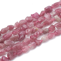 Chapelets de perles en tourmaline naturelle, pierre roulée, pépites, 2~19x3~8x2~7mm, Trou: 1mm, Environ 50~55 pcs/chapelet, 15.55 pouce