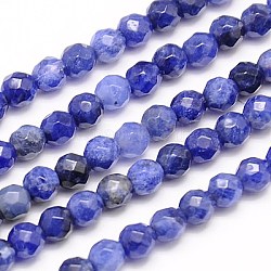 Natural Sodalite Beads Strands, Faceted, Round, Blue, 4mm, Hole: 1mm, about 95pcs/strand, 15.35 inch