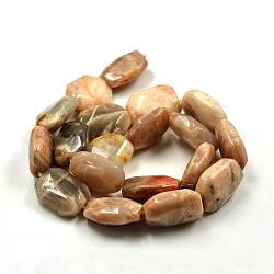 Natural Sunstone Octagon Bead Strands, 18~22x13~15x8~10mm, Hole: 1mm, about 19pcs/strand, 19.35inch