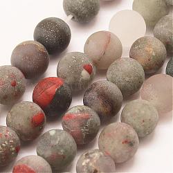 Naturali africane perline Bloodstone fili, perle di pietra eliotropio, tondo, smerigliato, 10mm, Foro: 1 mm, circa 37pcs/filo, 15 pollice