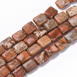 Fili di perle di diaspro imperiale naturale, tinto, rettangolo, cioccolato, 10~11x8~9x4~5mm, Foro: 1.4 mm, circa 38~42pcs/filo, 15.55 pollice ~ 16.14 pollici (39.5~41 cm)