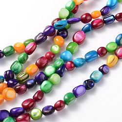 Chapelets de perles de coquillage naturel, teinte, amorphe, couleur mixte, 5~10x4~9x5mm, Trou: 0.7~0.9mm, 47 pcs / chapelet, 15 pouce