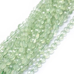 Chapelets de perles en préhnite naturelle, AA grade, facette, plat rond, 4.5~5.5x2.5~3mm, Trou: 0.8mm, Environ 76 pcs/chapelet, 14.72~14.84 pouce (37.4~37.7 cm)