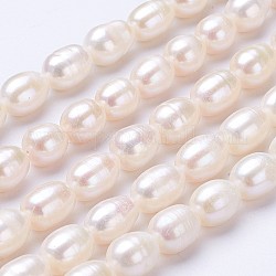 Brins de perles de culture d'eau douce naturelles, riz, linge, 10~11x7~8mm, Trou: 0.5mm, Environ 38~39 pcs/chapelet, 14.5 pouce