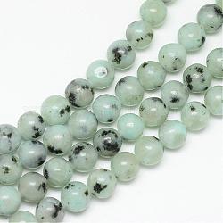 Fili di perle di diaspro / kiwi di diaspro naturale, tondo, 6mm, Foro: 1 mm, circa 65pcs/filo, 15.7 pollice