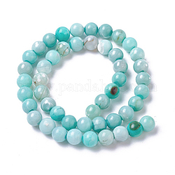 Natural Dyed Agate Imitation Turquoise Beads Strands, Round, Pale Turquoise, 10mm, Hole: 1mm, about 36~38pcs/strand, 14.88  inch~15.15 inch(37.8~38.5cm)