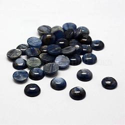 Dome Natural Kyanite/Cyanite/Disthene Cabochons, 12x4~5mm