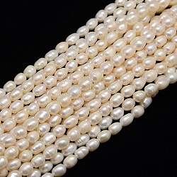 Hebras de perlas de agua dulce cultivadas naturales, arroz, blanco cremoso, 6~8x5~6mm, agujero: 0.8 mm, aproximamente 48 pcs / cadena, 13.77 pulgada ~ 14.17 pulgadas